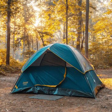 tent-4 tent-4